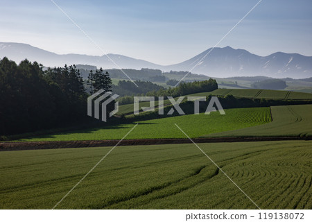 早春美麗的山 早春美麗的山 119138072