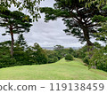 The beautiful pine forest, one of the three most scenic spots in Japan 119138459