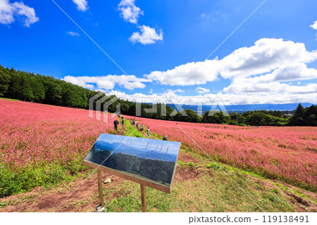 赤面之裡資訊板 119138491