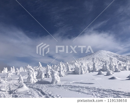 在Hakkoda山的雪怪 在Hakkoda山的雪怪 119138658