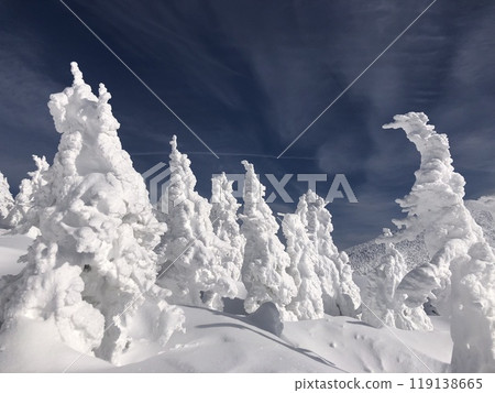 Snow monster at Mt. Hakkoda 119138665