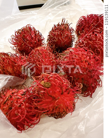 Rambutan Rambutan 119139111