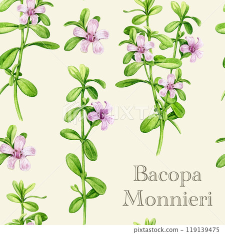 Bacopa medicinal plant vintage style seamless pattern. Hand drawn adaptogenic bacopa monnieri watercolor botanical illustration. Brahmi herb ayurveda medicine element seamless pattern design 119139475
