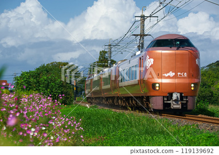 New Yakumo Autumn 119139692