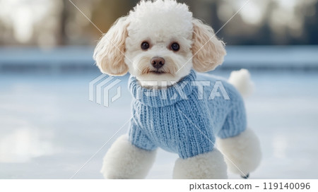 Adorable Poodle Skating on Frozen Pond in Cozy Winter Sweater 119140096