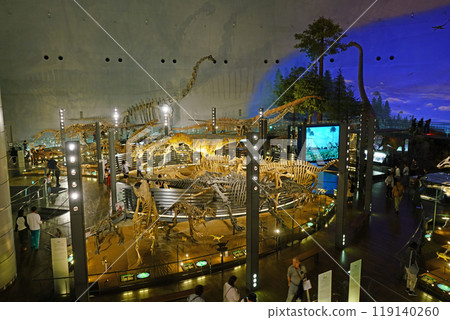 福井縣立恐龍博物館更新展示現場 119140260