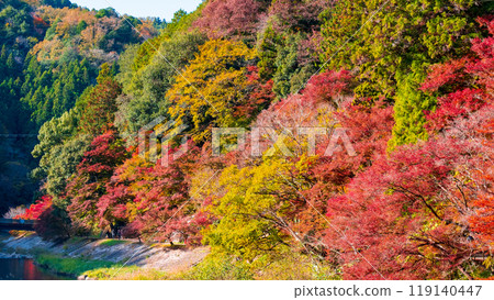 Korankei (Autumn) Korankei (Autumn) 119140447