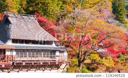 香蘭溪（秋季） 119140528