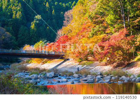 Korankei (Autumn) 119140530