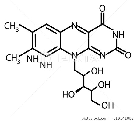 Vitamin B2 icon. Riboflavin Molecular chemical formula sign. Chemical structure of riboflavin symbol. flat style. Vitamin B2 icon. Riboflavin Molecular chemical formula sign. Chemical structure of riboflavin symbol. flat style. 119141092