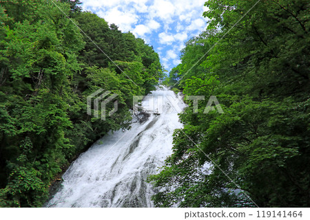 奧日光初夏鬱鬱蔥蔥的高原風景 119141464