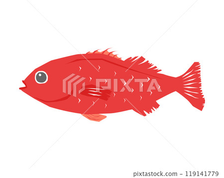 高檔魚手繪金鯛魚 119141779