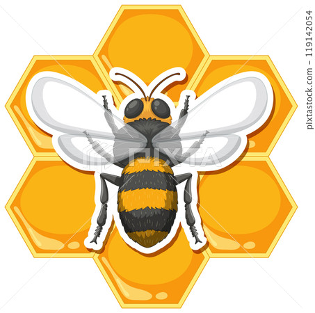 Bee on Honeycomb Vector Illustration 119142054