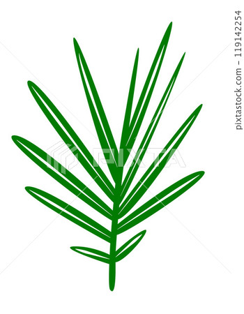 Hawaiian Jungle Leaf Vector Art for Botanic Wallpaper. Tropical Vegan Design. Exotic Botanical Element. Organic Nature Illustration for Eco Home Decor. Vector illustration 119142254