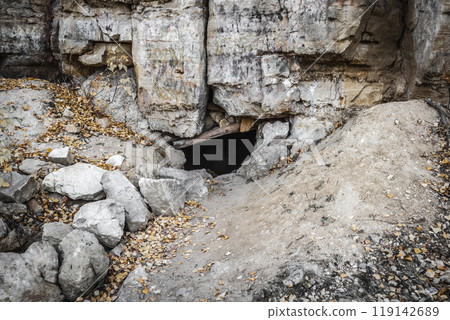 Entrance to the cave 119142689
