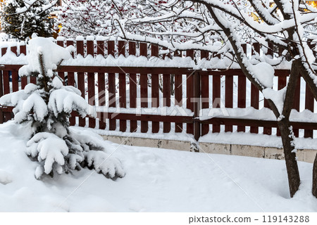 Snow in the backyard 119143288
