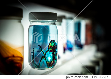 Laboratory 119143614