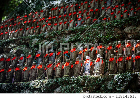 Dear Mr. Oita 119143615