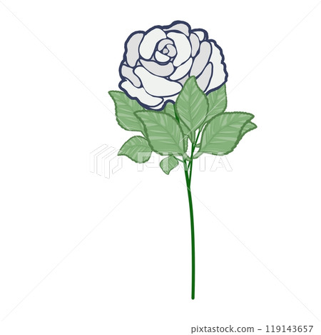 白玫瑰 白玫瑰 119143657