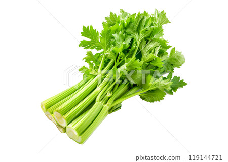 Green Pascal celery isolated on a white transparent background. Perfect for salads, various cooking methods, and healthy, nutritious dishes Green Pascal celery isolated on a white transparent background. Perfect for salads, various cooking methods, and healthy, nutritious dishes 119144721