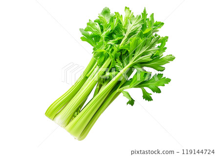 Green Pascal celery isolated on a white transparent background. Perfect for salads, various cooking methods, and healthy, nutritious dishes 119144724