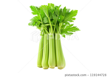 Green Pascal celery isolated on a white transparent background. Perfect for salads, various cooking methods, and healthy, nutritious dishes 119144728