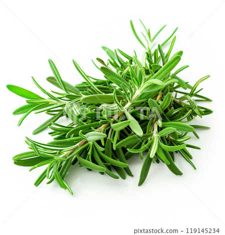 A vibrant and fresh green herb bundle of garden savory or summer savory isolated on white background A vibrant and fresh green herb bundle of garden savory or summer savory isolated on white background 119145234