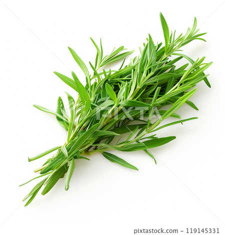 Bunch of tarragon isolated on a white background Bunch of tarragon isolated on a white background 119145331