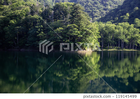 神秘的豐尼湖的自然美景 119145499