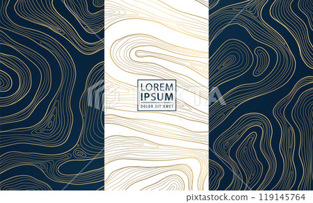 Vector set of abstract map topography, wood texture, organic shape patters. Gold on blue and white, curve sea template. Vector set of abstract map topography, wood texture, organic shape patters. Gold on blue and white, curve sea template. 119145764