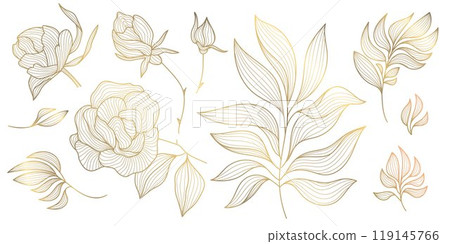 Vector set of art deco drawn leaves and flowers. Roses line illustrations, gold on white isolated. Floral graphic elements. 119145766