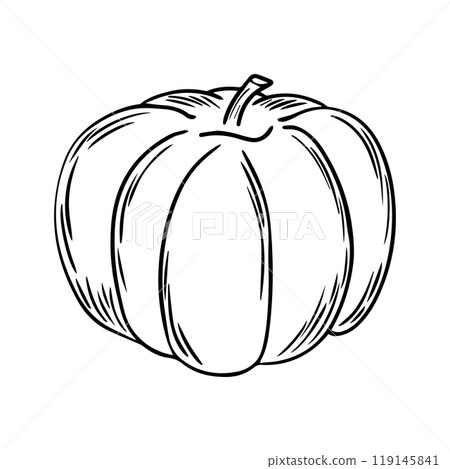 Pencil Sketch of a Pumpkin on a white Background. Autumn Hand Drawn Illustration. Flat design. Vector illustration. Pencil Sketch of a Pumpkin on a white Background. Autumn Hand Drawn Illustration. Flat design. Vector illustration. 119145841