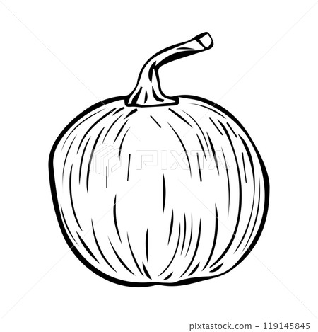 Hand Drawn pumpkin doodle. Sketch style icon. Decoration element. Isolated on white background. Flat design. Vector illustration. 119145845