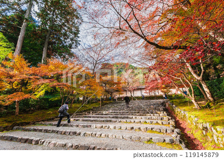 Autumn in Kyoto, Nison-in Temple, Autumn leaves on the horse field 119145879