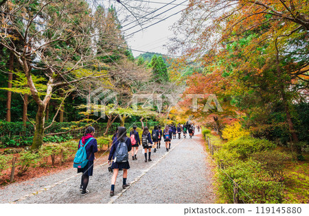 Autumn in Kyoto, Nison-in Temple, Autumn leaves on the horse field 119145880