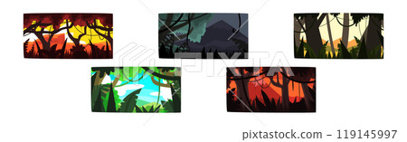 Jungle and Rainforest with Dense Trees, Lush Vegetation and Hanging Lianas Picture Vector Set Jungle and Rainforest with Dense Trees, Lush Vegetation and Hanging Lianas Picture Vector Set 119145997