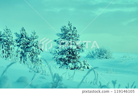 Beautiful Christmas landscape 119146105