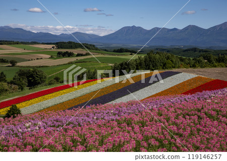 Tokachi Mountain Range and Shikisai Hill Tokachi Mountain Range and Shikisai Hill 119146257