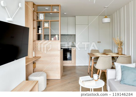 A Modern Minimalist Living Room with Elegant Furniture and Natural Elements for Comfort 119146284