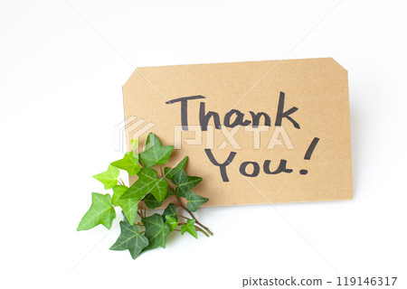 Gratitude message and plant 119146317