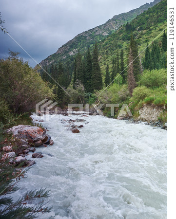 alley with river and forest alley with river and forest 119146531