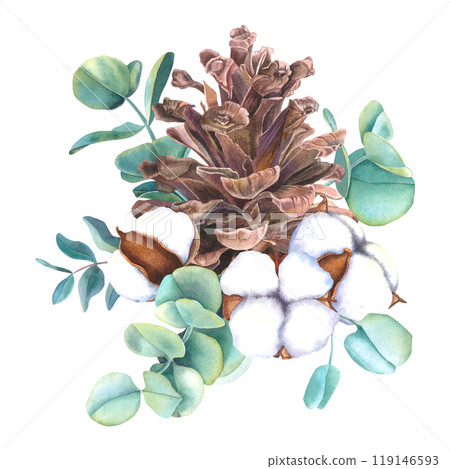 Watercolor illustration of pinecone with bolls of cotton flowers and eucalyptus branches. Drawing of botanical elements on isolated background for creating a festive decor, holiday cards, invitations. Watercolor illustration of pinecone with bolls of cotton flowers and eucalyptus branches. Drawing of botanical elements on isolated background for creating a festive decor, holiday cards, invitations. 119146593