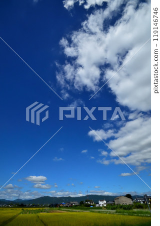 藍天白雲,秋雲 藍天白雲,秋雲 119146746