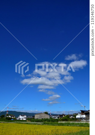 Blue sky and white clouds, autumn clouds 119146750