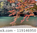 Arashiyama autumn season in Kyoto Japan. Foliage 119146950