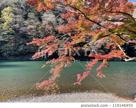 Arashiyama autumn season in Kyoto Japan. Foliage 119146950