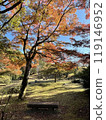 Arashiyama autumn season in Kyoto Japan. Foliage 119146952