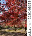 Arashiyama autumn season in Kyoto Japan. Foliage 119146953