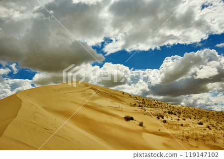 Mongolia. Sands Mongol Els, sandy dune desert, 119147102