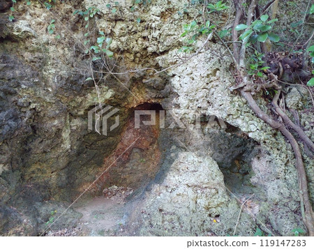 Okinawa Nakadomari Ruins 4 119147283